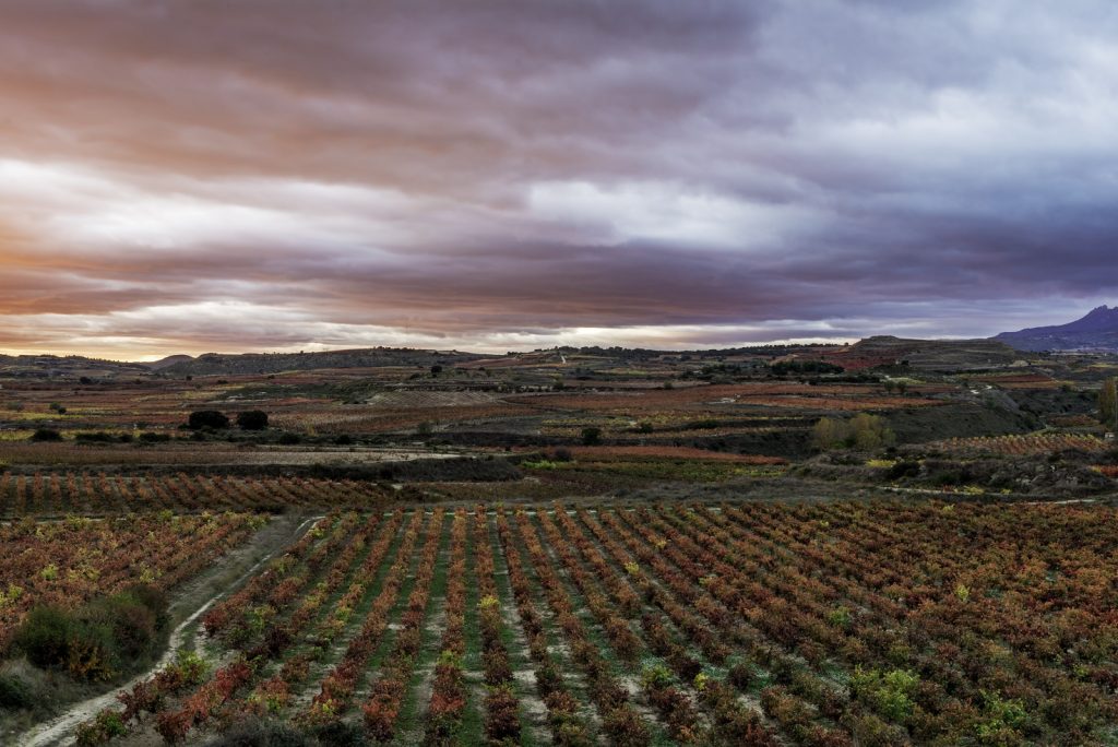 La Rioja insistirá en el 'Paisaje de la vid y el vino' como patrimonio mundial