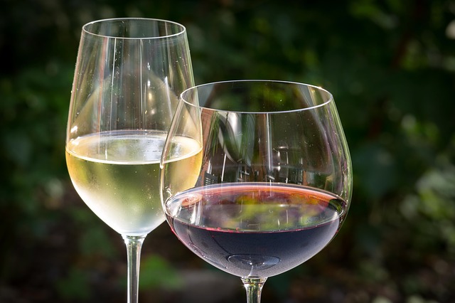 ¿Por qué el vino blanco se bebe más frío que el tinto?